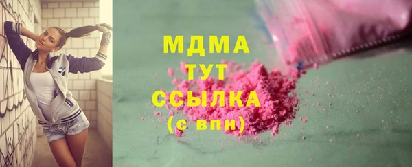 индика Арсеньев