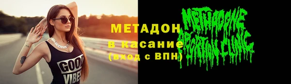 индика Арсеньев