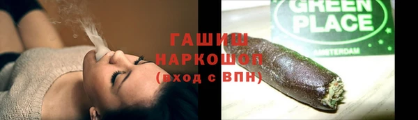 индика Арсеньев