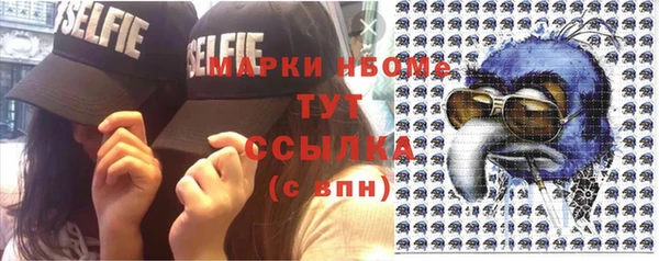 индика Арсеньев