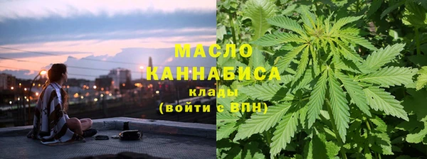 индика Арсеньев
