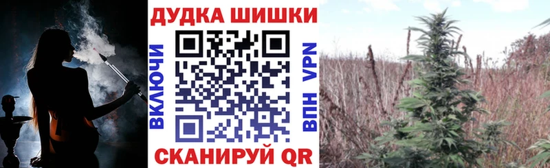 Канабис OG Kush  купить наркоту  Геленджик 